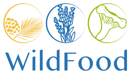 Thumb wildfood logo