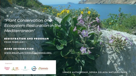 Thumb facebook plant conservation and ecosystem restoration in the mediterranean.cropped