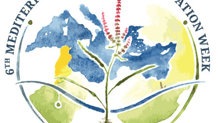 Thumb 6mpcw tunisia 2027 logo a